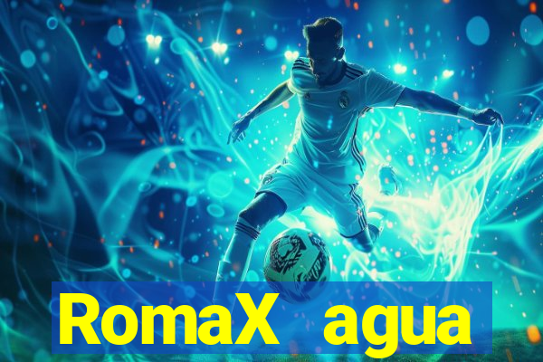 RomaX agua sanitaria fispq agua sanitaria romax